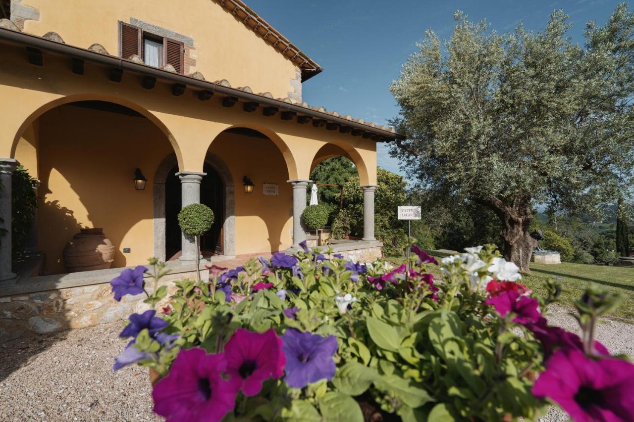 Willa Terenzi Hospitality&Wine Scansano Zewnętrze zdjęcie